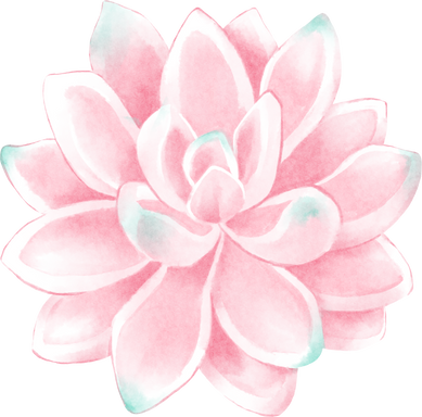 Elegant Watercolor Pink Succulent